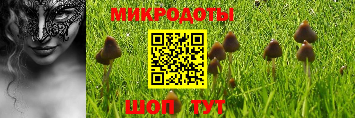Псилоцибиновые грибы мицелий Клин