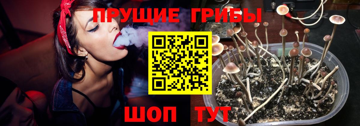 даркнет сайт  Псилоцибиновые грибы Psilocybine cubensis  Вход с VPN  Клин 